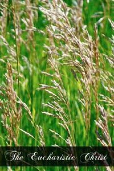 The Eucharistic Christ