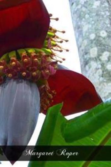 Margaret Roper: The Chancellor And His Daughter