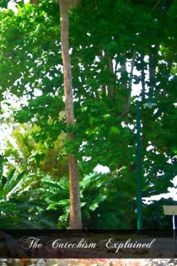 The Catechism Explained: An Exhaustive Exposition Of The Christian Religion