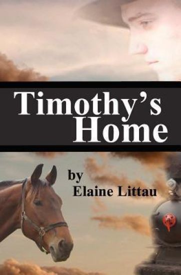 Timothy's Home: Nan's Heritage Series