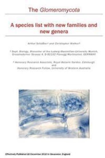The Glomeromycota: A species list with new families and new genera