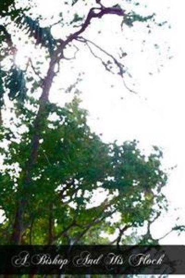 A Bishop And His Flock