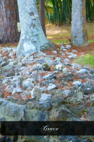 Grace: Six Lenten Discourses Preached In The Parish Church Of Saint Martin's At Freiburg