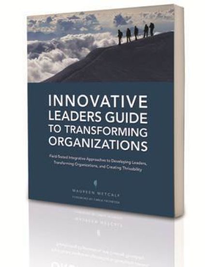 Innovative Leaders Guide to Transforming Organizations