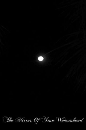 The Mirror Of True Womanhood: A Book Of Instruction For the Women In The World