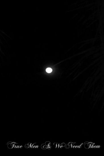 True Men As We Need Them: A Book Of Instruction For Men In The World