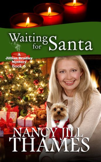 Waiting For Santa: A Jillian Bradley Mystery