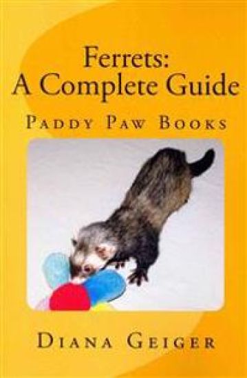 Ferrets: A Complete Guide