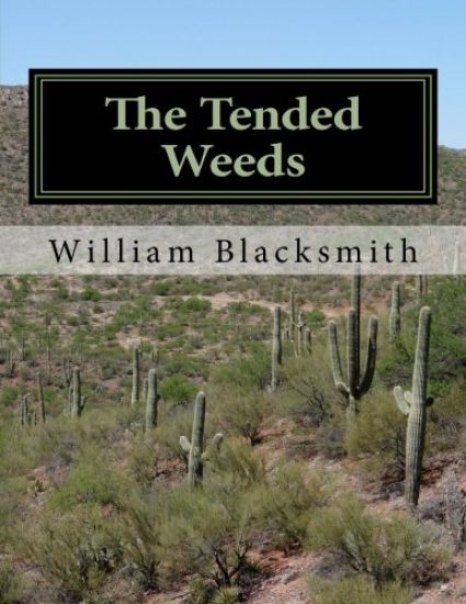 The Tended Weeds: Look what's growing under the Tomatoes!