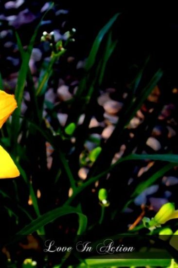 Love In Action: The Commandments