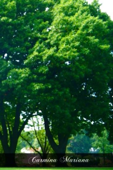 Carmina Mariana: An English Anthology In Verse In Honour Of Or In Relation To The Blessed Virgin Mary