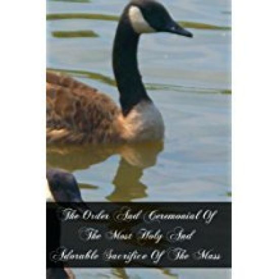 The Order And Ceremonial Of The Most Holy And Adorable Sacrifice Of The Mass: Explained In A Dialogue Between A Priest And A Catechumen With An Append