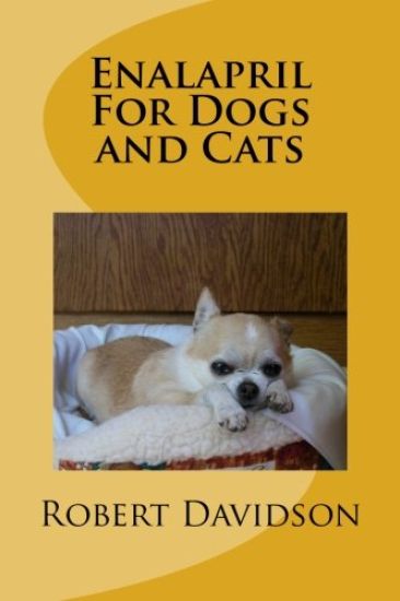 Enalapril For Dogs and Cats