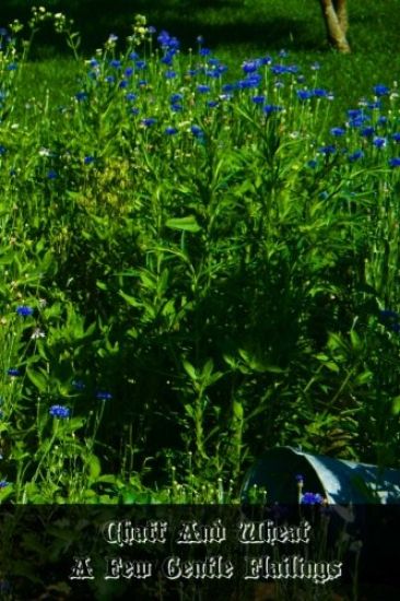 Chaff And Wheat A Few Gentle Flailings