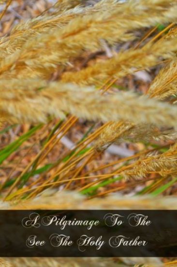 A Pilgrimage To The See The Holy Father