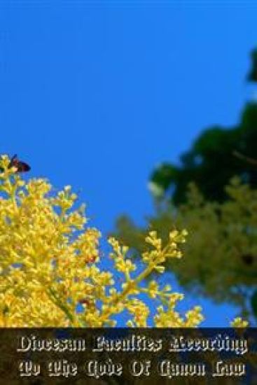 Diocesan Faculties According To The Code Of Canon Law