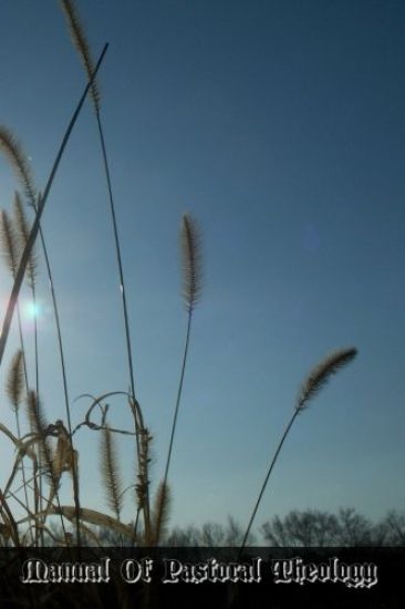 Manual Of Pastoral Theology: A Practical Guide For Ecclesiastical Students And Newly Ordained Priests