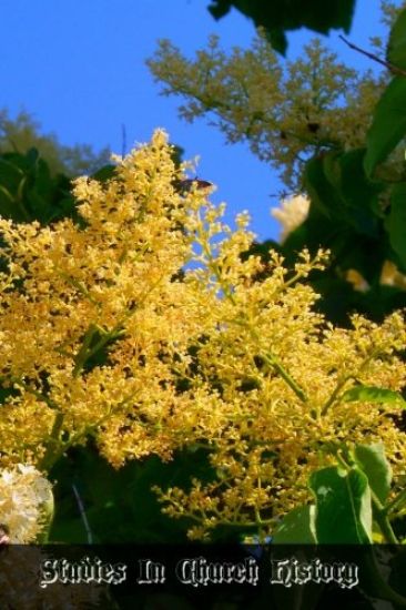 Studies In Church History: Volume 2 Centuries 9 - 14