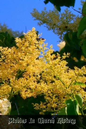 Studies In Church History: Volume 4 Centuries 17 - 18