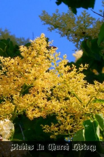 Studies In Church History: Volume 5 Centuries 19 Part 1