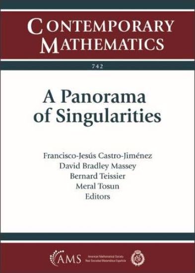 A Panorama of Singularities