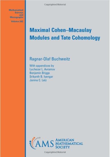 Maximal Cohen-Macaulay Modules and Tate Cohomology
