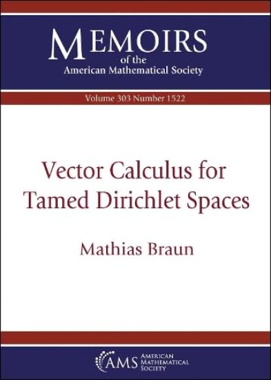 Vector Calculus for Tamed Dirichlet Spaces