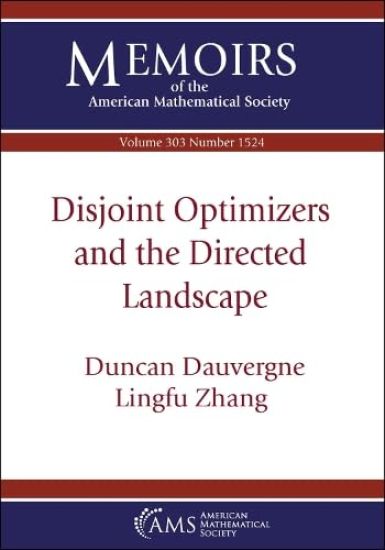 Disjoint Optimizers and the Directed Landscape