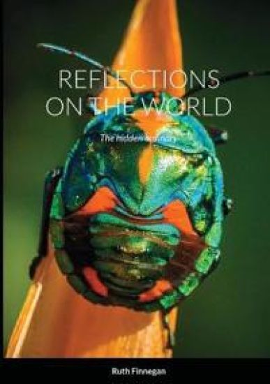 Reflections on the World