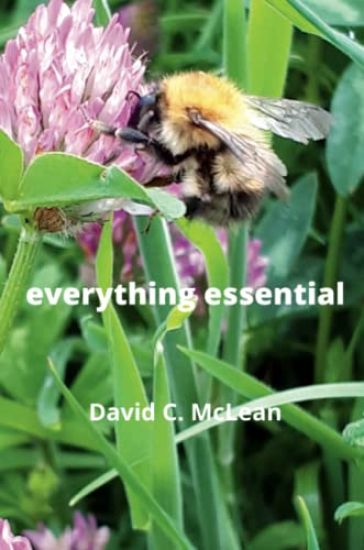 everything essential