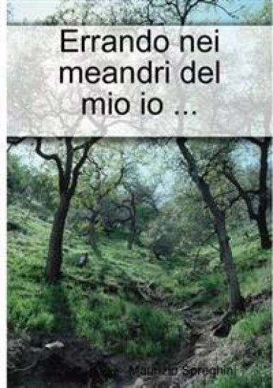 Errando Nei Meandri Del Mio Io ...