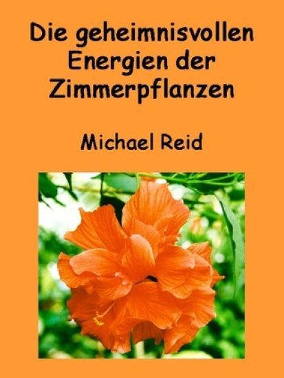 Die Geheimnisvollen Energien Der Zimmerpflanzen