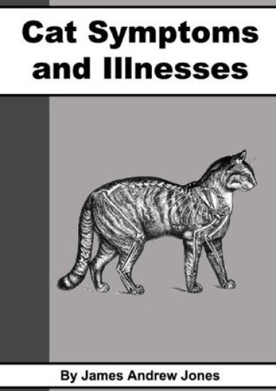 Cat Symptoms & Illnesses