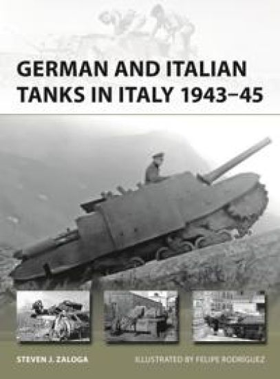 German and Italian Tanks in Italy 1943–45