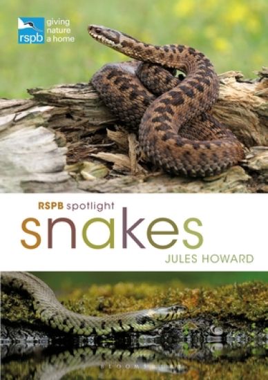 RSPB Spotlight Snakes
