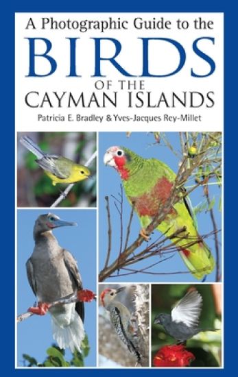 A Photographic Guide to the Birds of the Cayman Islands