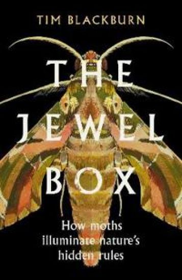 Jewel Box