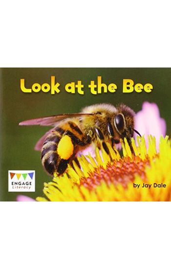 Look at the Bee