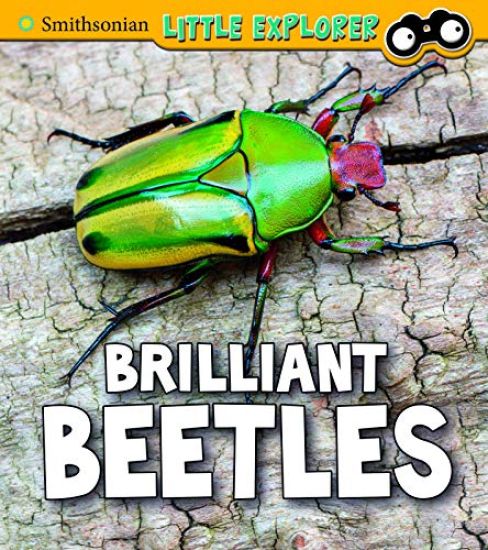 Brilliant Beetles