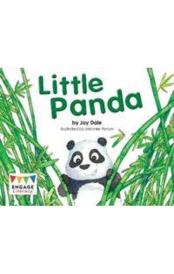 Little Panda