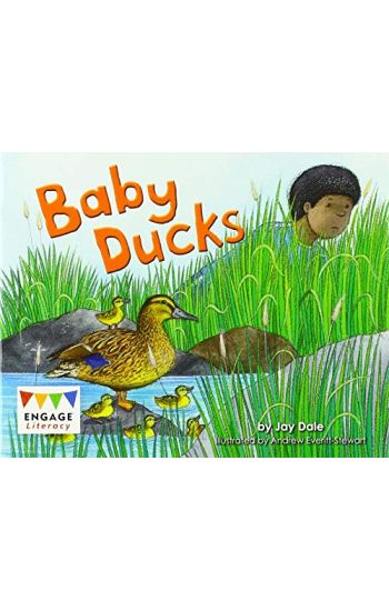 Baby Ducks