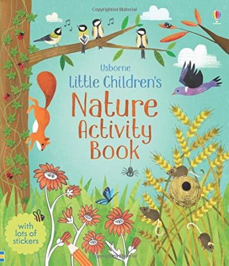 Little Children's Nature Activity Book