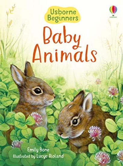 Baby Animals