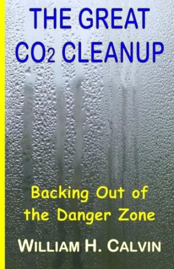 The Great CO2 Cleanup: Backing Out of the Danger Zone