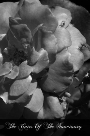 The Gates Of The Sanctuary: The Postulant And The Novice