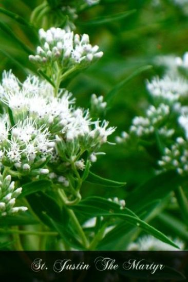 St. Justin The Martyr