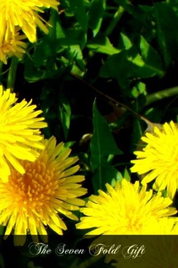 The Seven Fold Gift: A Study Of The Seven Sacraments