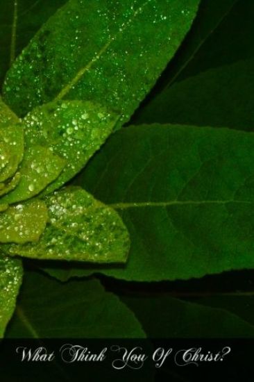 What Think You Of Christ?: Is The Christ Of The Catholic Church The Christ Of The Gospels?