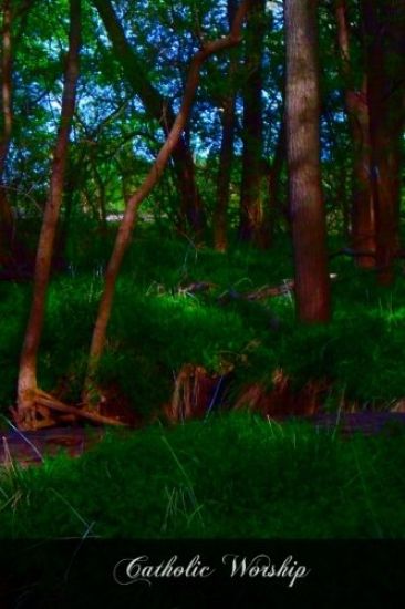 Catholic Worship: A Manual Of Popular Instruction On The Ceremonies And Devotions Of The Church