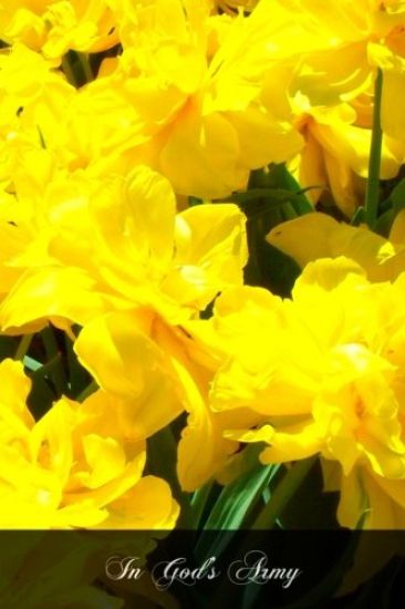 In God's Army: Commanders In Chief St. Ignatius Loyola & St. Francis Xavier